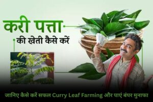 कम लागत में लाखों की कमाई! जानिए कैसे करें सफल Curry Leaf Farming और पाएं बंपर मुनाफा