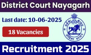 District Court Nayagarh ने निकाली जूनियर टाइपिस्ट और स्टेनोग्राफर की बड़ी भर्ती, 18 जून तक करें आवेदन