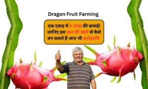 Dragon Fruit Farming: एक एकड़ में 6 लाख की कमाई, जानिए इस फल की खेती से कैसे बन सकते हैं करोड़पति 