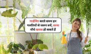 Gardening Tips: गार्डनिंग करते समय इन गलतियों से जरूर बचें, वरना पौधे खराब हो सकते हैं