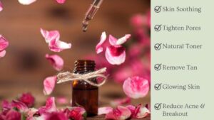 Rose Petals Benefits: यहाँ से देखिए गुलाब की पंखुड़ियां किस प्रकार हमारी त्वचा के लिए हैं लाभदायक