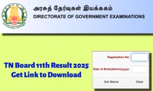 TN Board 11th Result 2025 Soon: यहाँ से तुरंत डाउनलोड करें अपना रिज़ल्ट