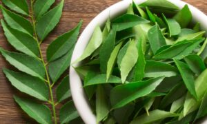 Curry Leaves For Hair: यहाँ से देखिए करी पत्ता हमारे बालों के लिए किस प्रकार हैं लाभकारी