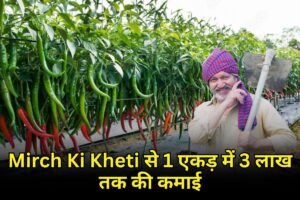 Mirch Ki Kheti: 1 एकड़ में 3 लाख तक की कमाई, जानिए पूरी खेती की तकनीक