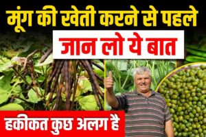 Mung Ki Kheti में किसान अक्सर करते हैं ये 3 बड़ी गलतियाँ, जानिए कैसे बचाएं फसल और बढ़ाएं मुनाफा!