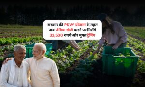 सरकार की PKVY योजना के तहत अब जैविक खेती करने पर मिलेंगे 31,500 रुपये और मुफ्त ट्रेनिंग