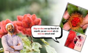 Sindoor Ki Kheti: सिंदूर का पौधा बना रहा किसानों को लखपति, एक बार लगाओ और 20 साल तक कमाओ लाखों