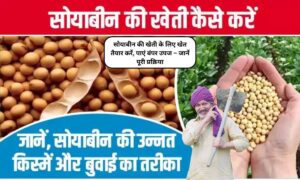 Soybean Farming: सोयाबीन की खेती के लिए खेत तैयार करें, पाएं बंपर उपज, जानें पूरी प्रक्रिया