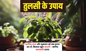 Tulsi Ke Upay: कार्तिक मास और शुक्रवार को बस इतना कर लें, किस्मत खुल जाएगी, जानिए चमत्कारी उपाय