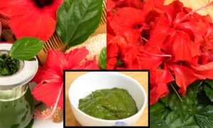DIY Hair Mask: घर पर ऐसे बनाएँ हेयर मास्क और अनेकों फ़ायदे पाएँ