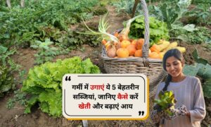 Kitchen Garden: गर्मी में उगाएं ये 5 बेहतरीन सब्जियां, जानिए कैसे करें खेती और बढ़ाएं आय