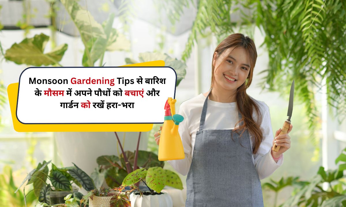 Monsoon Gardening Tips