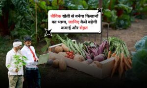 Organic Farming: जैविक खेती से बनेगा किसानों का भाग्य, जानिए कैसे बढ़ेगी कमाई और सेहत
