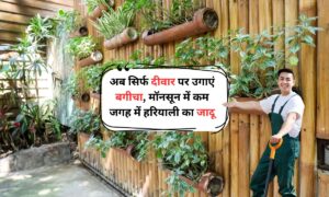 Vertical Gardening