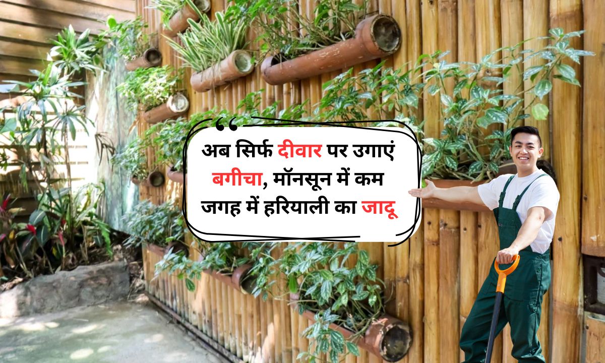 Vertical Gardening