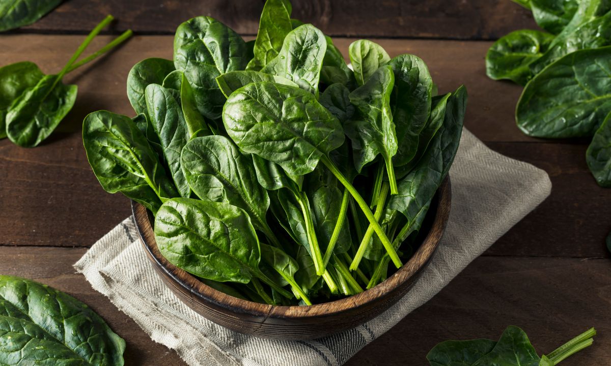 Palak Ki Kheti