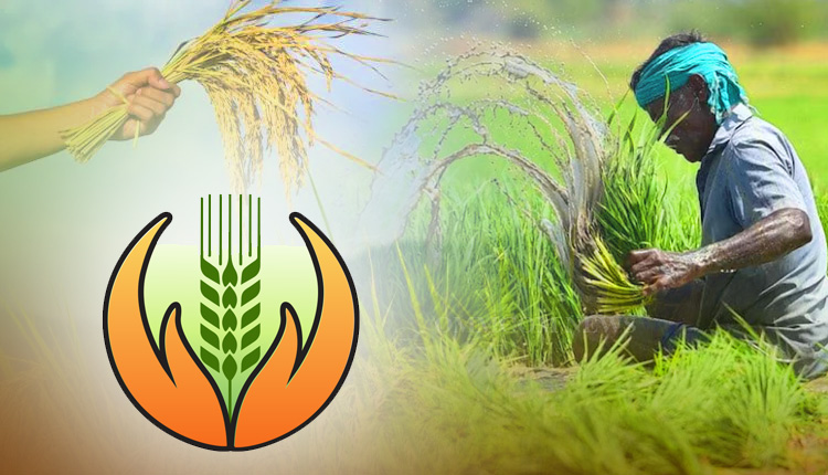 PM Fasal Bima Yojana