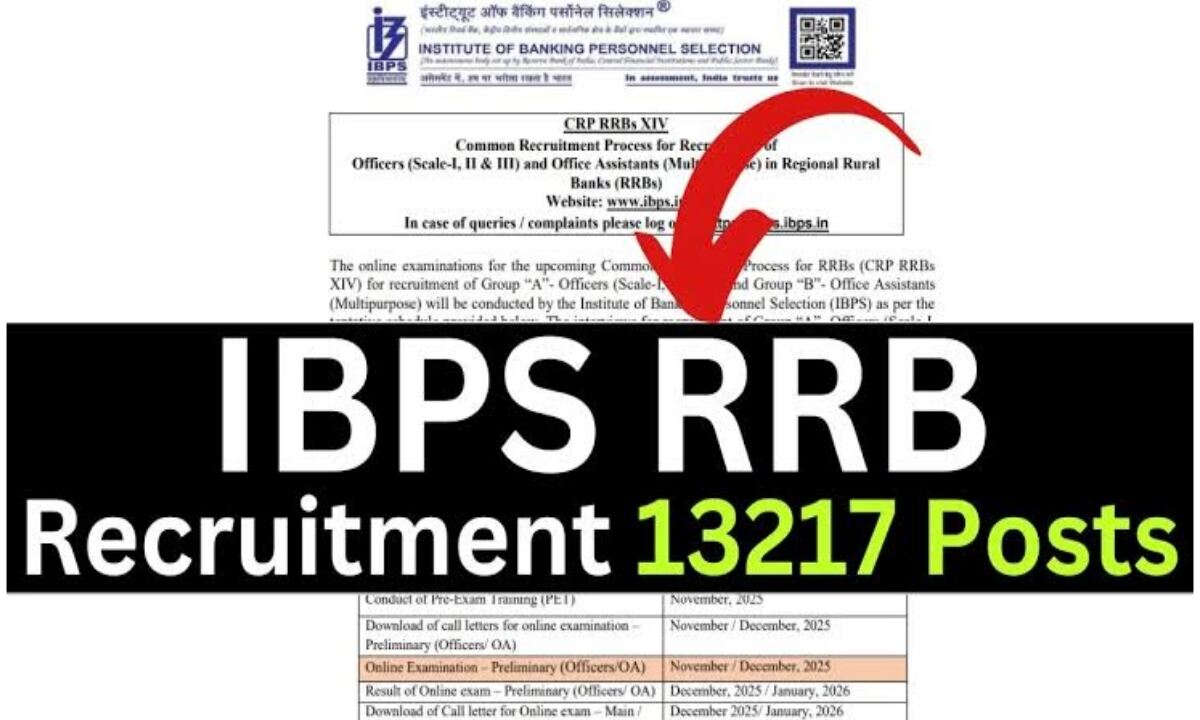 IBPS RRB Recruitment 2025