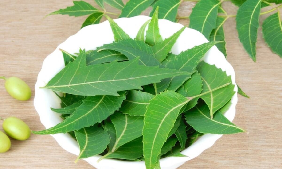 Neem Hair Mask