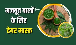 Hair Mask: नीम और दही से बनाएं आयुर्वेदिक हेयर मास्क, डेंड्रफ और खुजली से पाएं छुटकारा