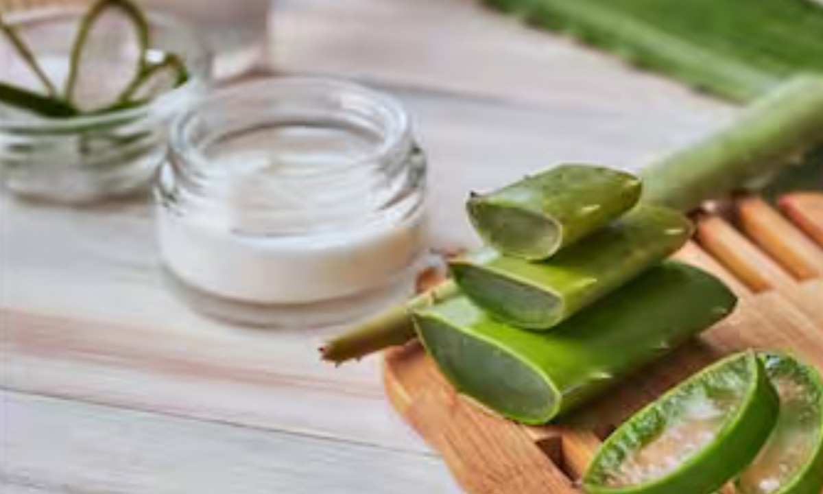 Aloe Vera Gel For Hair