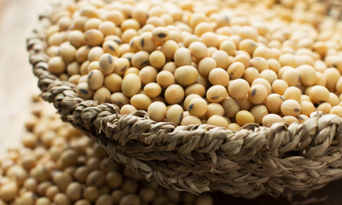 Soybean For Health