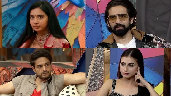 Bigg Boss 19 Awards Night